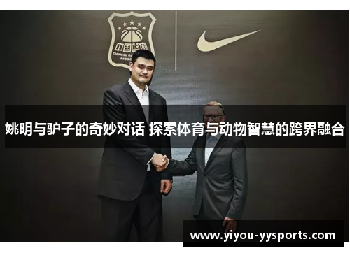 姚明与驴子的奇妙对话 探索体育与动物智慧的跨界融合